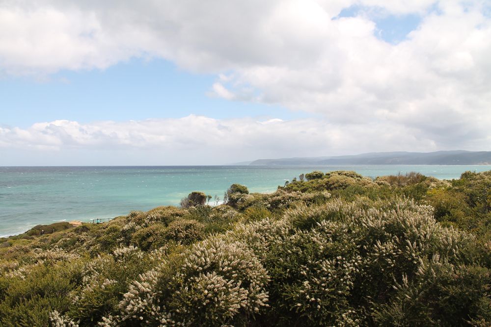 View of clear beach water from field above