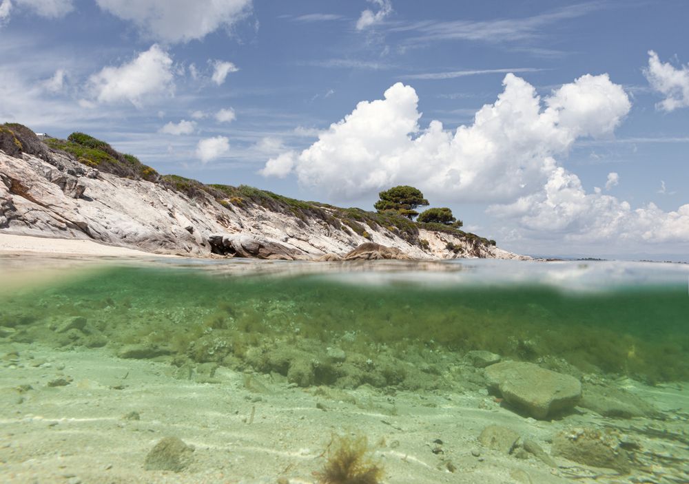Stony island with bright greenery surrounded by water