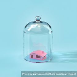 Pink house in bell jar glass 5XKGv0