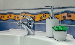 Washbasin with tap, soap dispenser and plant