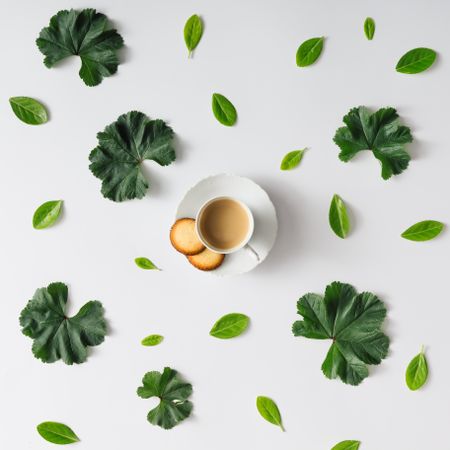 Pattern of green leaves on light background with coffee