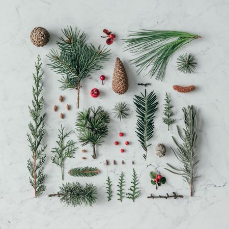 Creative layout made of winter branches, on marble background