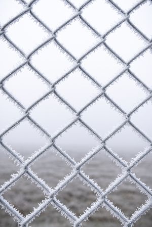Metal fence with fresh ice