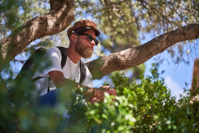 Bearded man sitting among tree branches