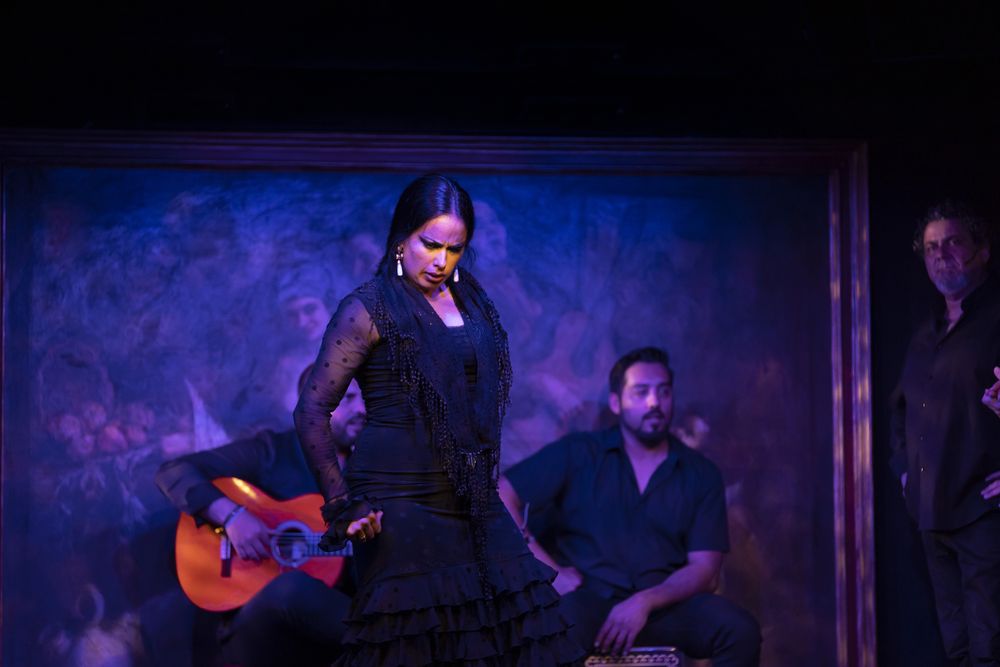 Flamenco performance on stage