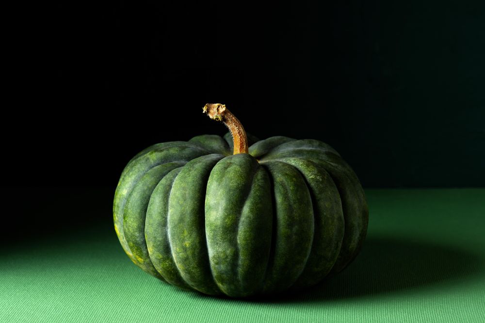Green pumpkin on green table with shadows behind