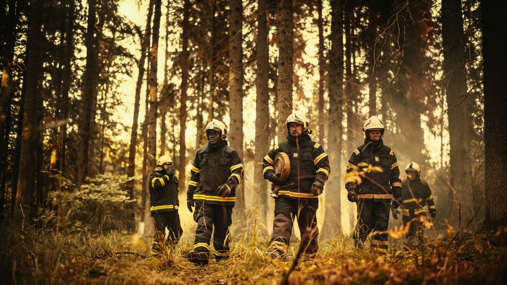 Group Leader Giving Orders and Instructions on Where to Move to Extinguish the Fire.