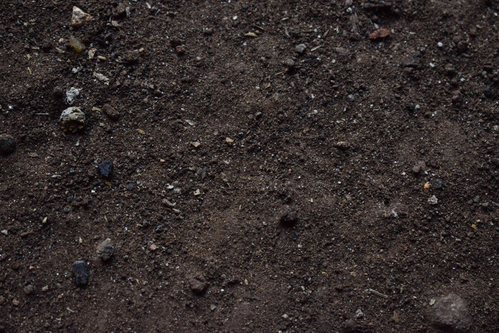 Texture of muddy ground