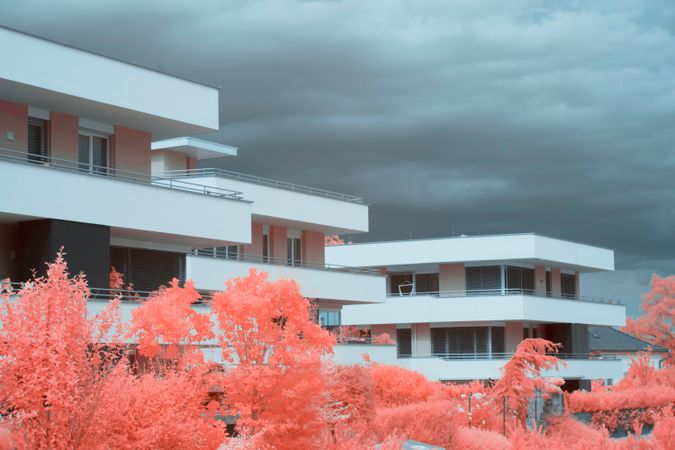 Infrared trees near suburban houses