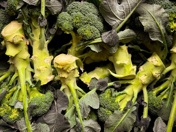 Fresh broccoli stalks for sale in market