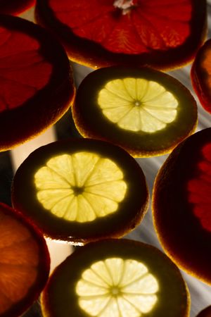 Sliced citrus fruits against light