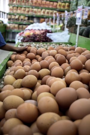Eggs on display for sale in grocery store