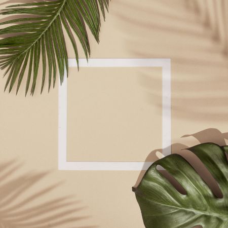 Top view of green tropical leaves and shadows on sand color background with square outline