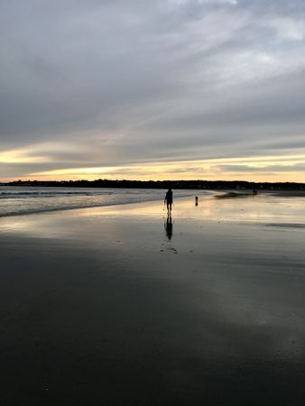 Silhouette of a person walking on shore during sunset