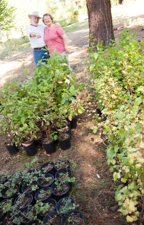 Older Couple Overlooking Potted Plants