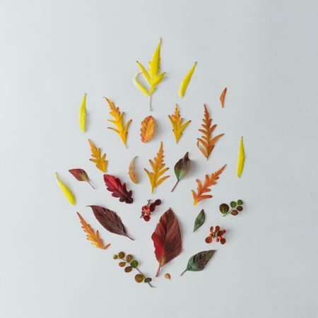 Autumn leaves and branches in shape of flame on light table background