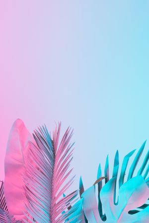 Tropical and palm leaves in vibrant bold gradient holographic colors