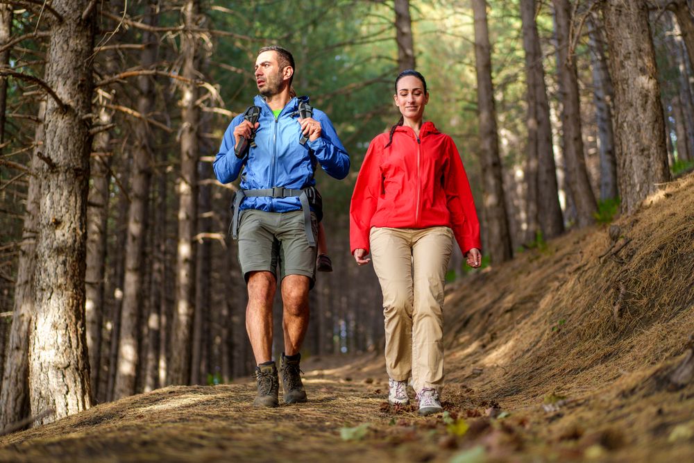 Couple Hiking Together in Forest - Outdoor Adventure and Nature Enjoyment