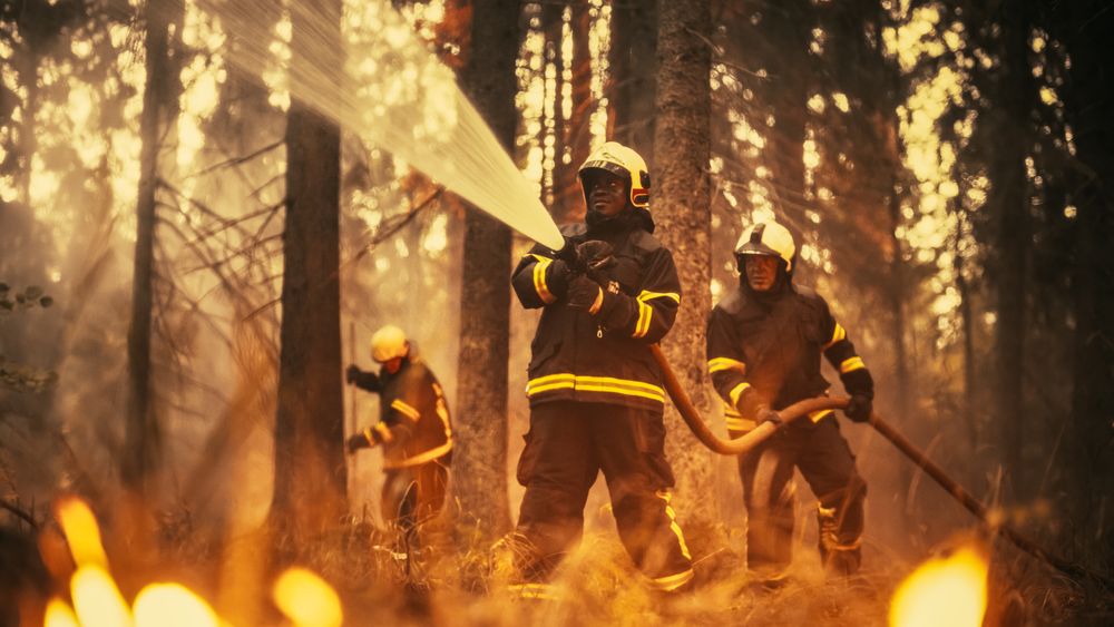 Professional in Safety Uniform and Helmet Using a Fire Hose to Battle Dangerous Wildfire.