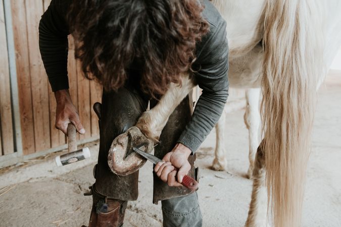 Man shoeing horse near stable