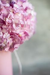 Fresh pink summer floral box