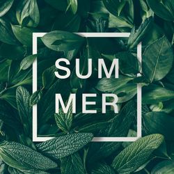 Green leaves layout with light  frame with the word “SUMMER”