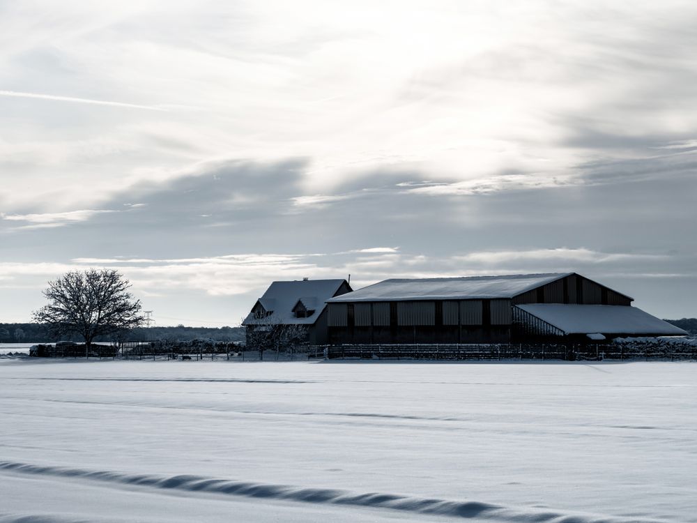 Winter's Tale. Snow-covered clean light landscape of Alsace.