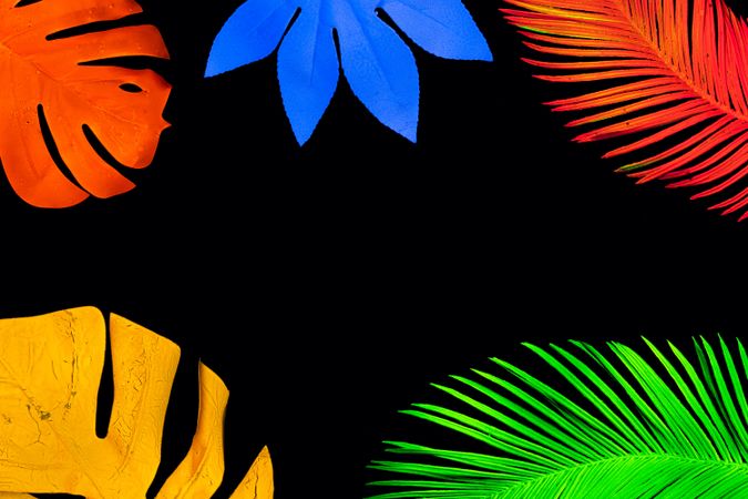 Neon tropical leaves pattern in vivid fluorescent colors bordering dark background