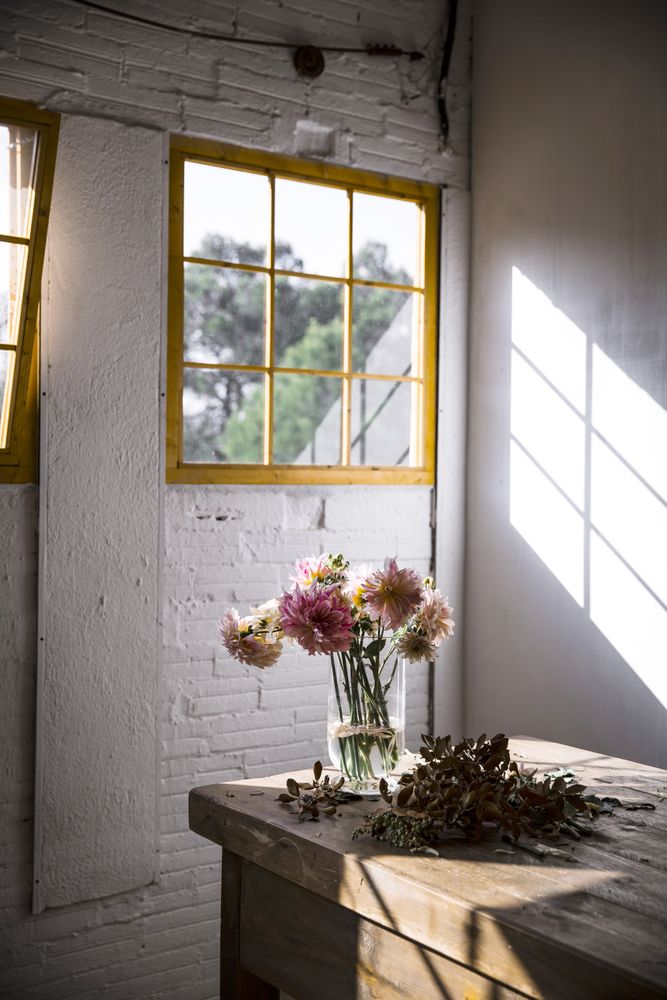 Bunches of flowers in vases on table