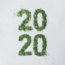 “2020” in pine needles on light background