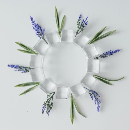 Ice cubes and lavender leaves  in circle shape on bright background