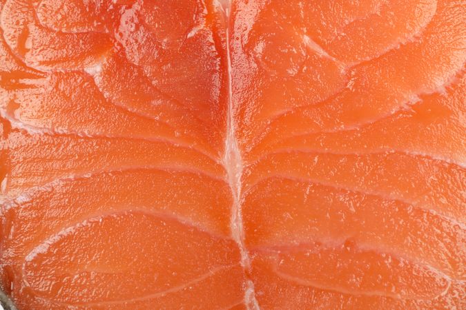 Fresh raw salmon meat texture background, macro