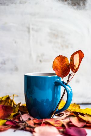 Side view of autumnal cup of coffee