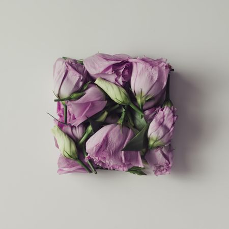 Pink flowers in shape of a gift box on light  background