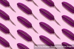 Purple quill pens on pink background beqGNb