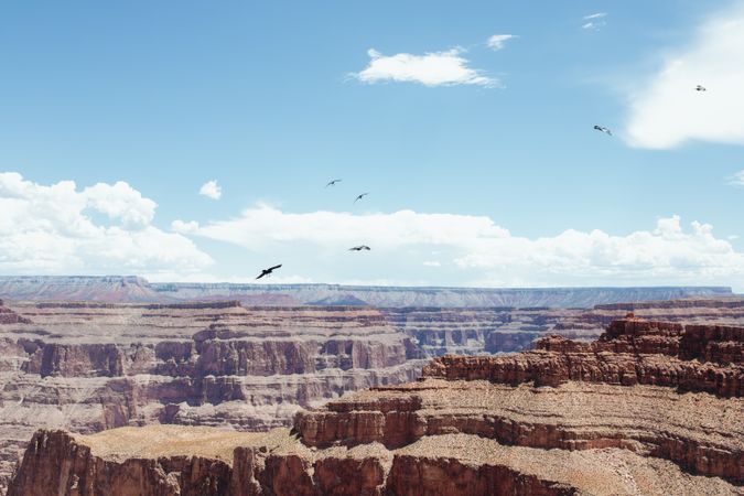 dry ground on rocky top of Grand Canyon