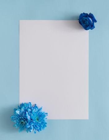Blue paper background with square, and blue flowers