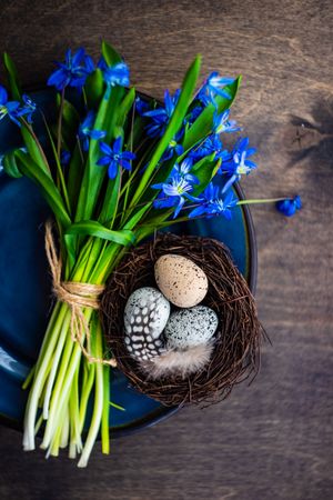 Top view of Easter table setting with mini nest, eggs and scilla flowers