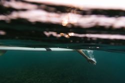 Woman on surf board floating on water