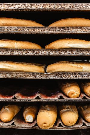 Shelves with fresh bread and buns
