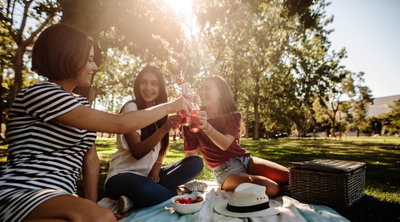 Girls having beers at picnic