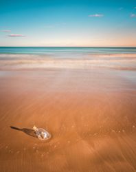Bottle in sand near sea