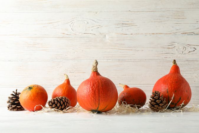 Pumpkins on wooden background, space for text