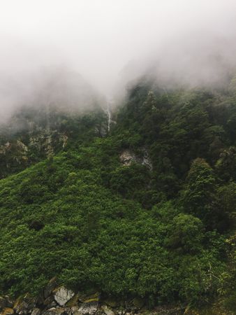 Fog on top of lush mountain