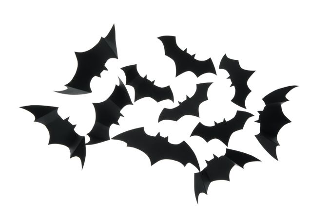 paper bats isolated on blank background
