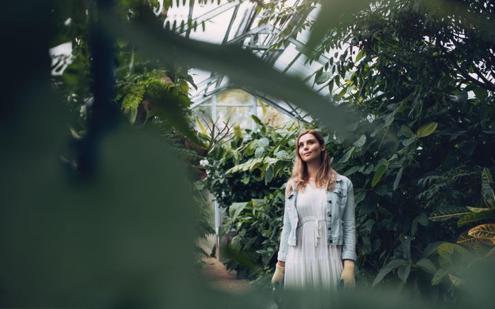 Beautiful woman standing in greenhouse looking up at plants and smiling