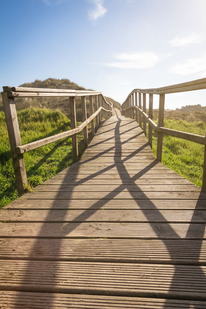 Wooden path leading to the ocean on sunny day