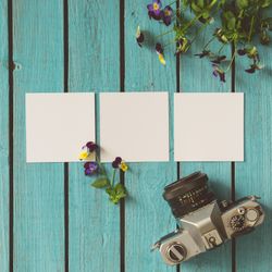 Three blank photos on wooden summer background with flowers and camera