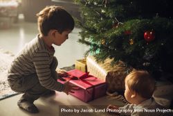 Boys picking up gifts from under the Christmas tree with baby nearby 5oB2z0