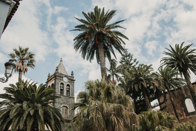 Tropical trees near high retro tower